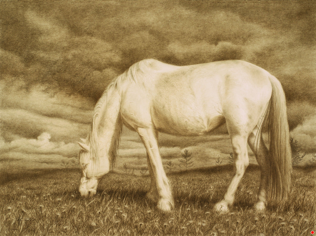 At peace with the storm…