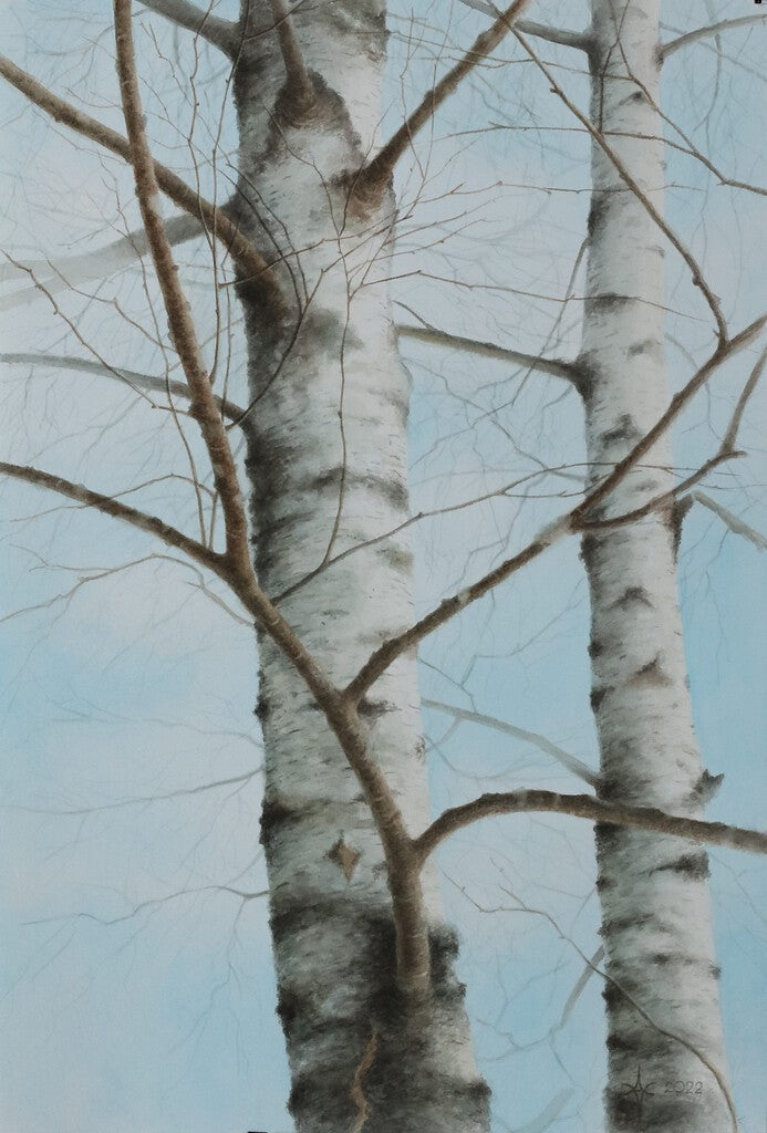 Draugystė (Reprodukcija/Printas)