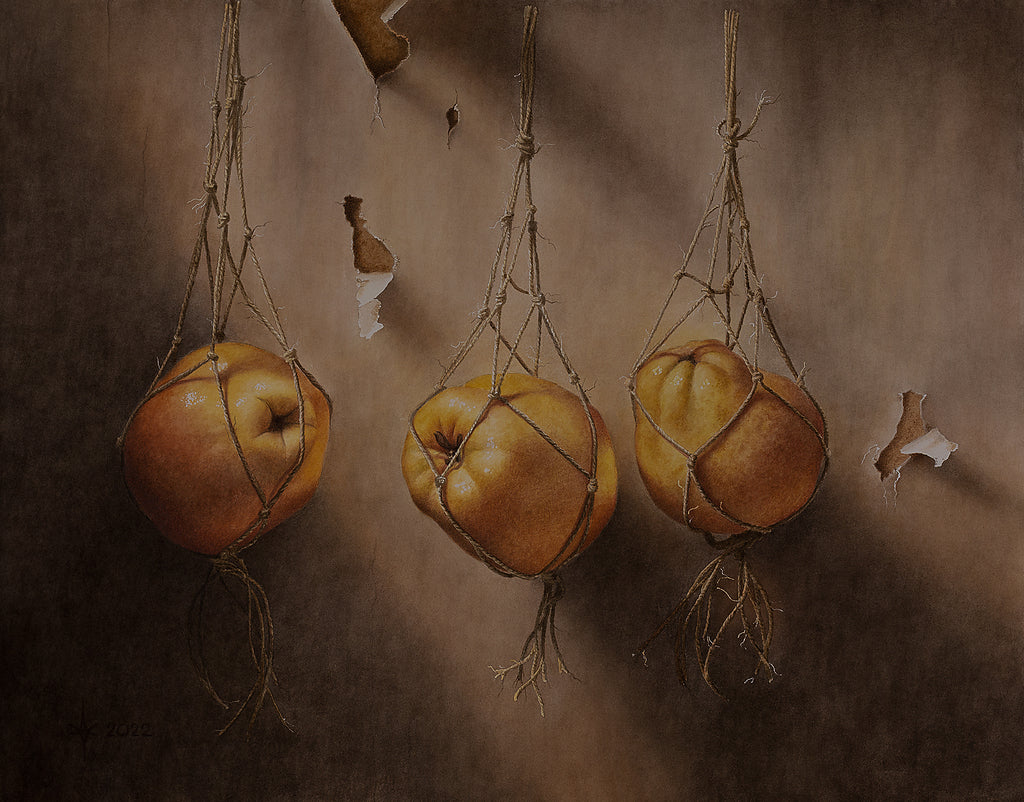 Cidonijos (Reprodukcija/Printas)