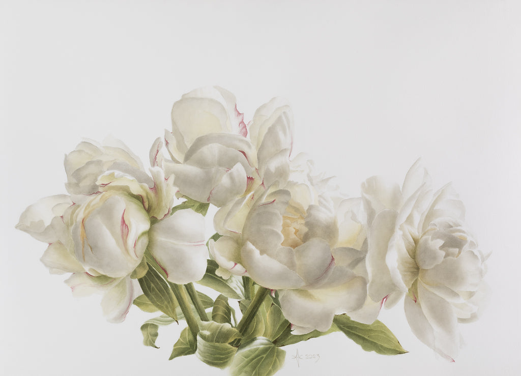 Skaidrumas (Reprodukcija/Printas)