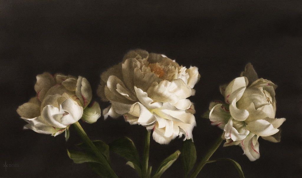 Jos didenybė bijūnai (Reprodukcija/Printas)