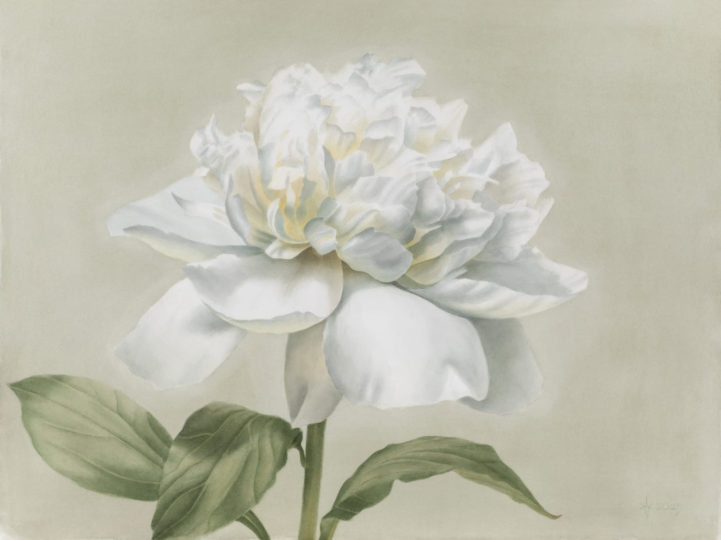 Šviesos galia (Reprodukcija/Printas)