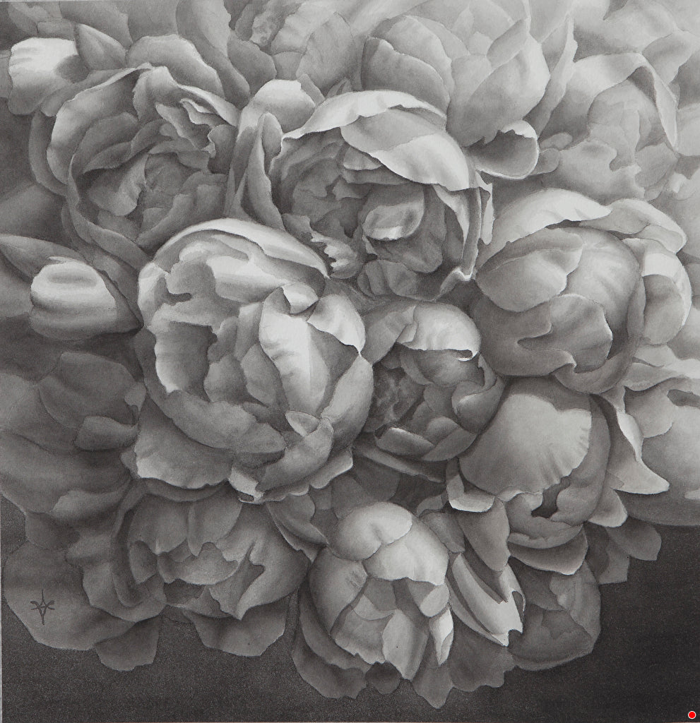 Black and white peonies