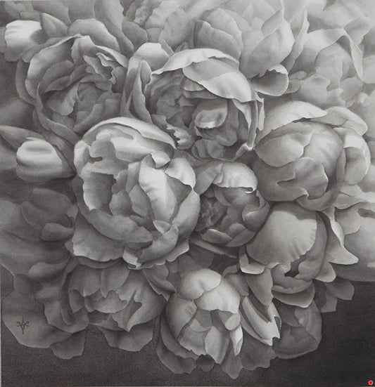 Black and white peonies