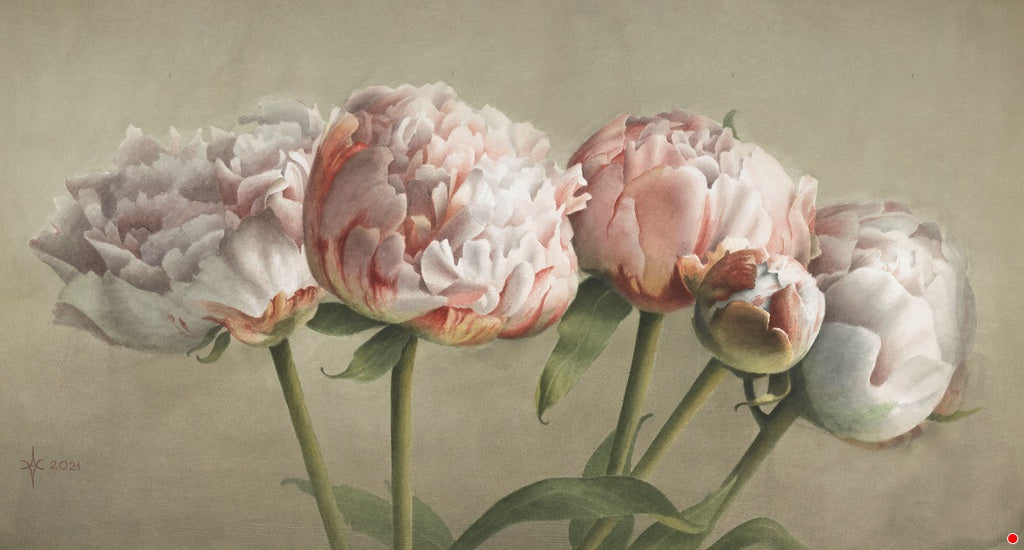 Peonies for Her