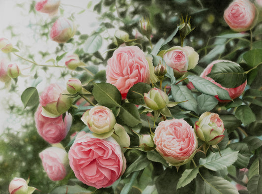 The Tale of Park Roses