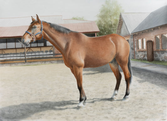 Jo vardas - Happy Hour (Reprodukcija/Printas)